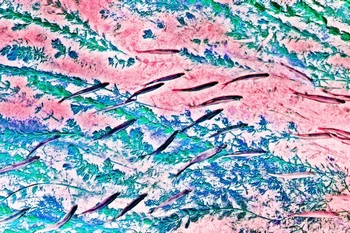 N 047E